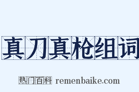 真刀真枪组词是什么意思的图片